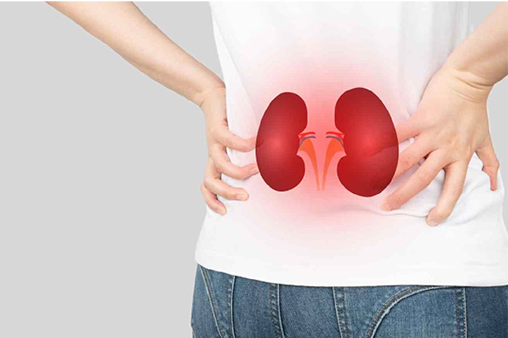 Renal Checkup Package (Basic)