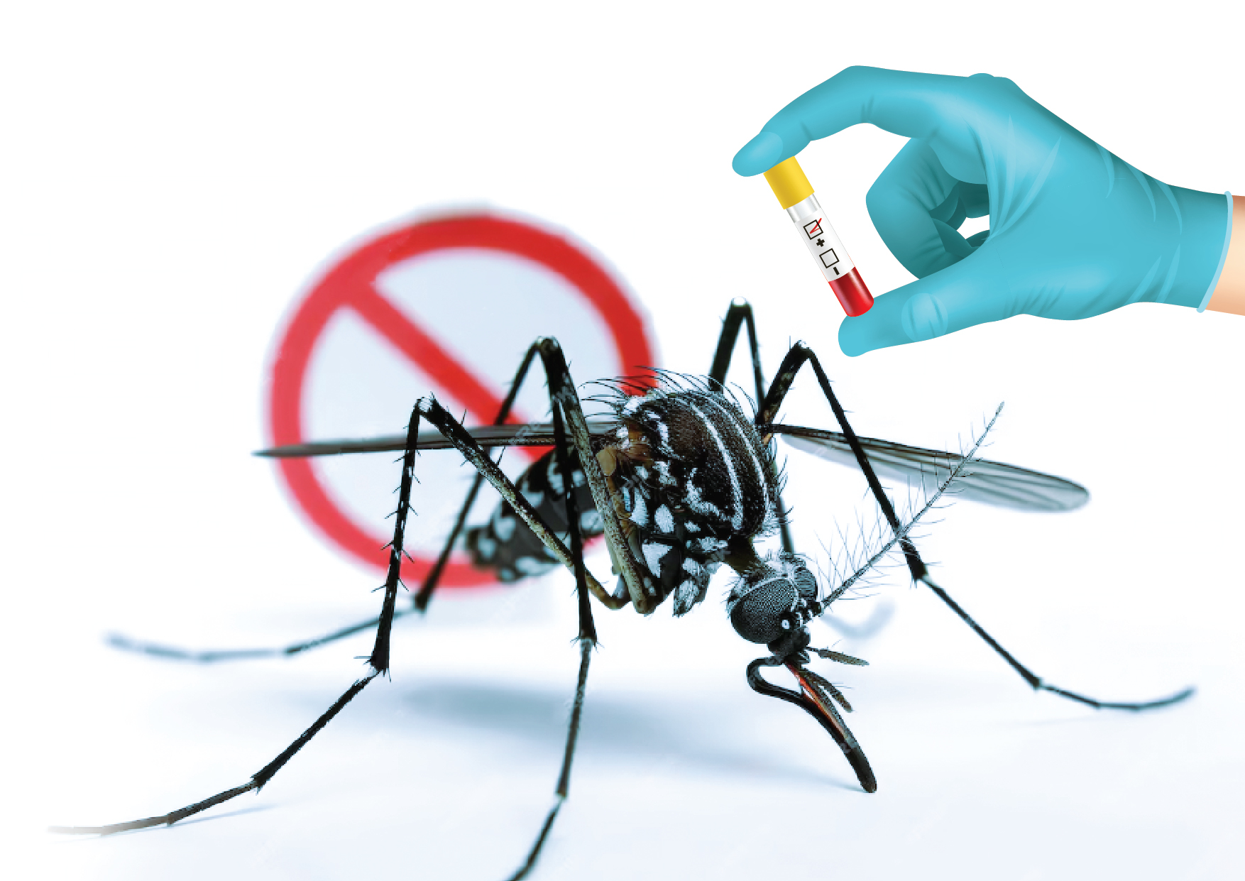 Dengue & Chikungunya Screening Package