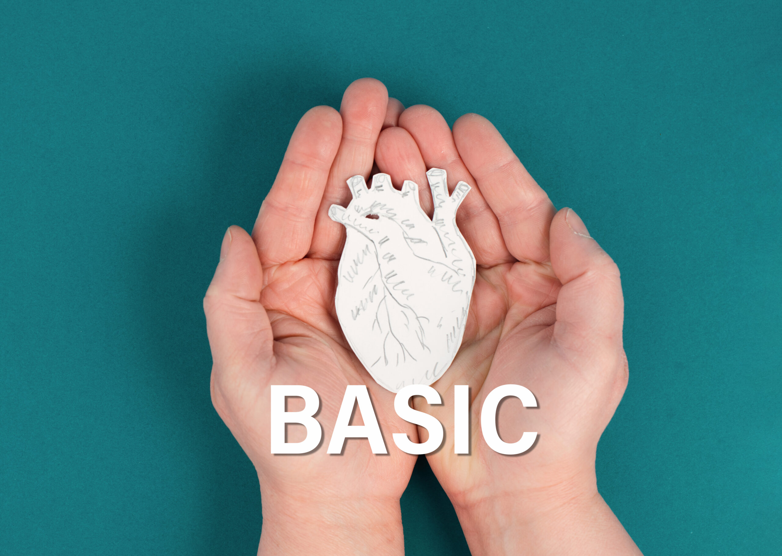 Cardiac Checkup Package (Basic)