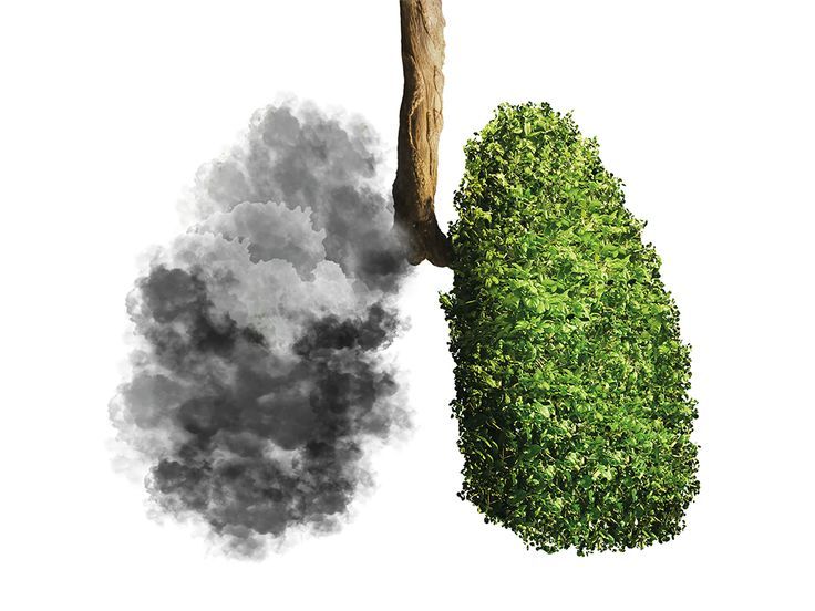 Smokers Health Checkup Package (Comprehensive)